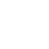Perfect Planners Logo