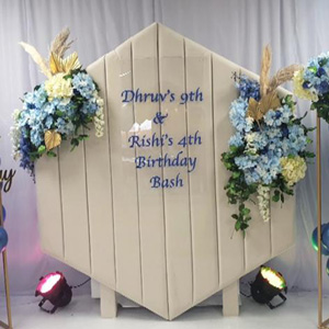 9th-birthday-party-organiser-perfect-planners